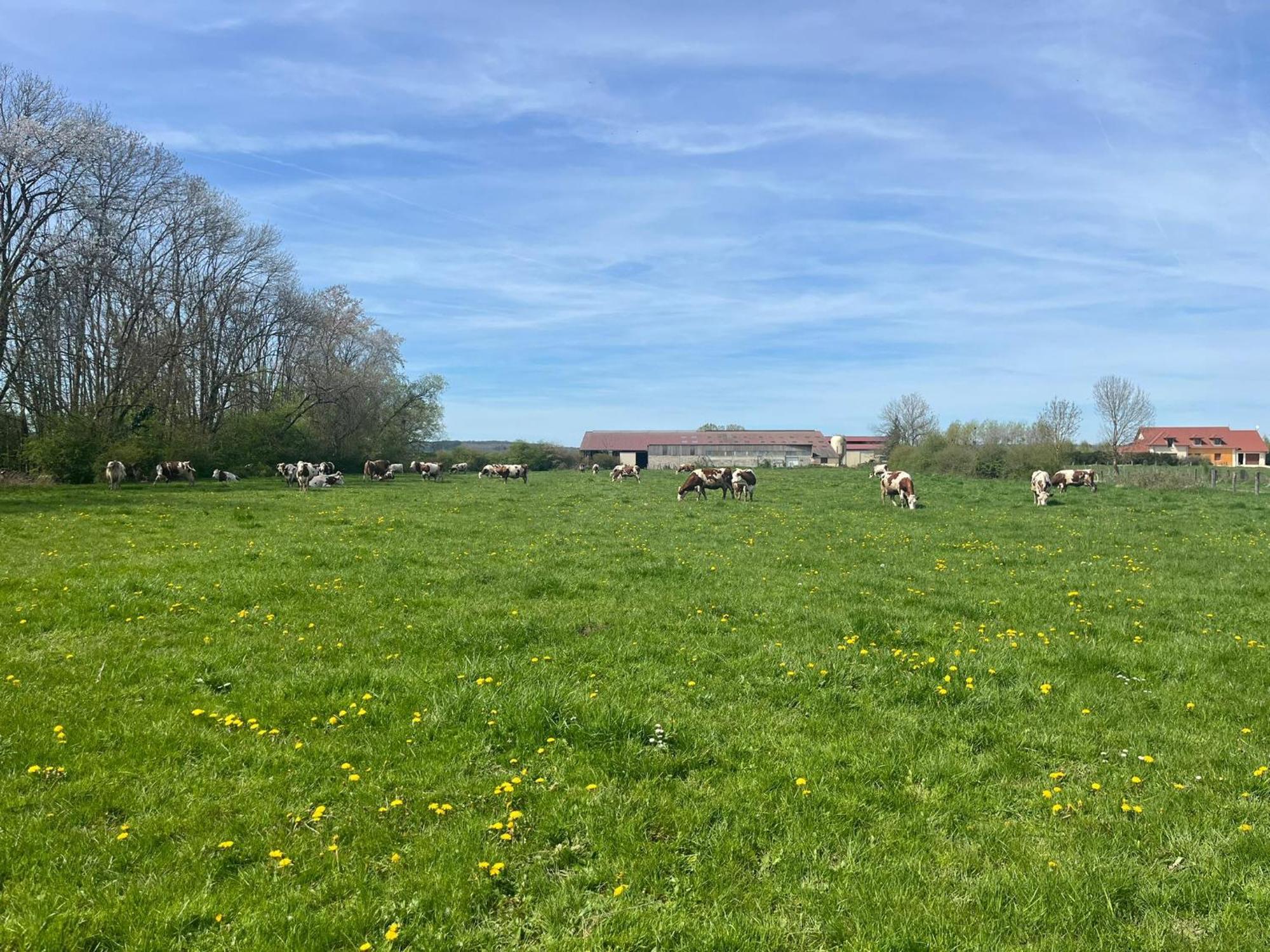 Studio Au Coeur De La Vannerie Fays-Billot Bagian luar foto